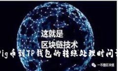 从Pig币到TP钱包的转账处理时间详解