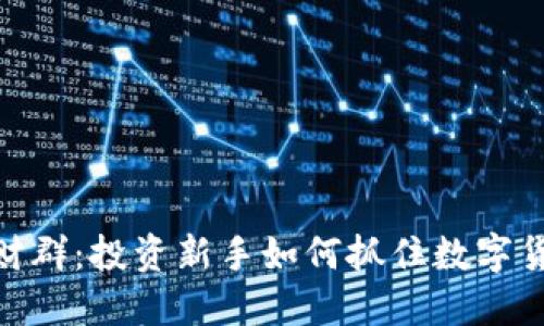 加入虚拟币发财群：投资新手如何抓住数字货币的盈利机会