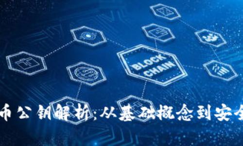 虚拟币公钥解析：从基础概念到安全实践
