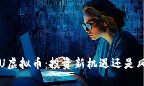 揭秘BISU虚拟币：投资新机遇还是风险陷阱？