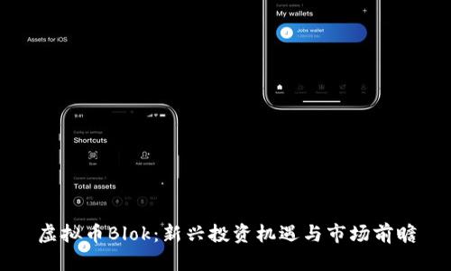 虚拟币Blok：新兴投资机遇与市场前瞻