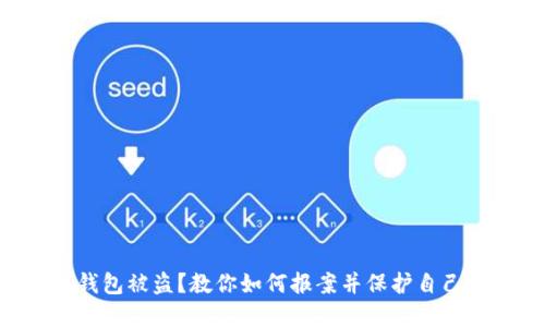 虚拟币钱包被盗？教你如何报案并保护自己的资产！