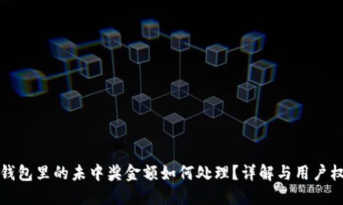 TP钱包里的未中奖金额如何处理？详解与用户权益