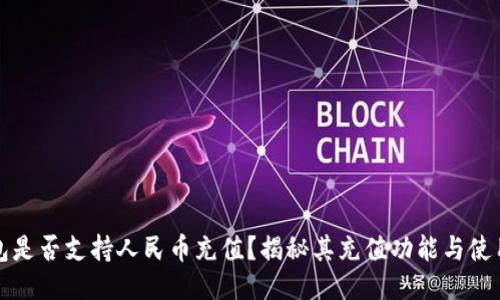 TP钱包是否支持人民币充值？揭秘其充值功能与使用技巧
