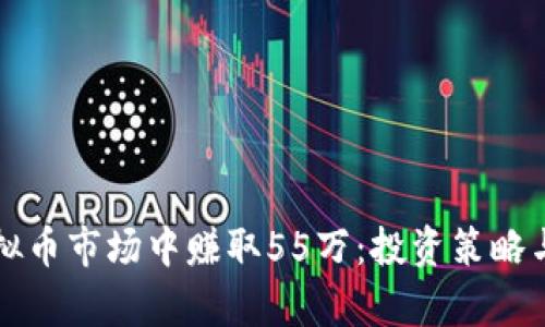 如何在虚拟币市场中赚取55万：投资策略与风险分析