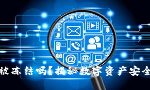 TP钱包能被冻结吗？揭秘数字资产安全与流动性