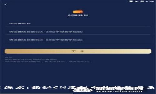 李海龙：揭秘CN虚拟币的崛起与未来