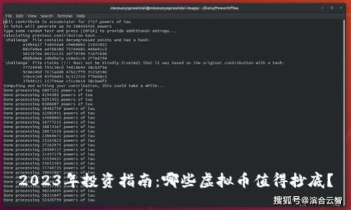 2023年投资指南：哪些虚拟币值得抄底？