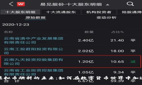 探索虚拟币燃料的未来：如何在数字货币世界中加速增长