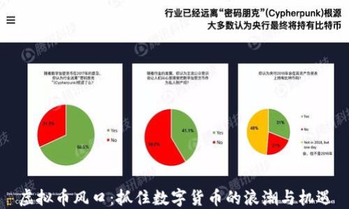 
虚拟币风口：抓住数字货币的浪潮与机遇