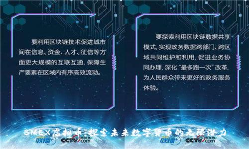 BMEX虚拟币：探索未来数字货币的无限潜力