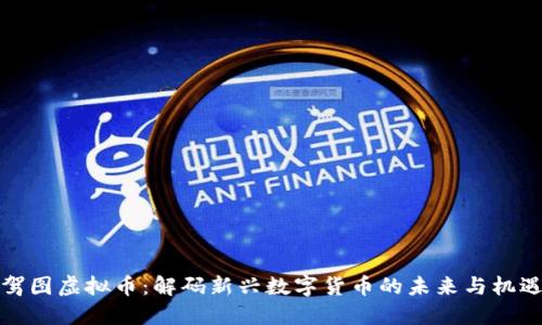 驾图虚拟币：解码新兴数字货币的未来与机遇