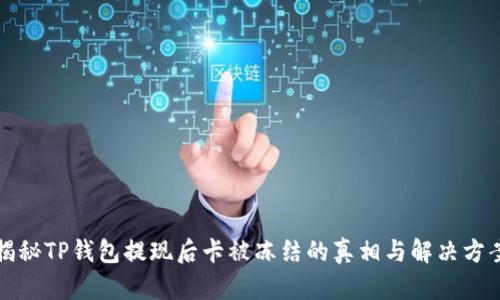 揭秘TP钱包提现后卡被冻结的真相与解决方案