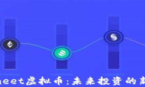 
深入解析Umeet虚拟币：未来投资的新机遇和挑战