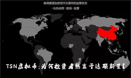 TSN虚拟币：为何投资者热衷于这颗新星？