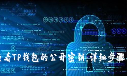 如何查看TP钱包的公开密钥：详细步骤与技巧