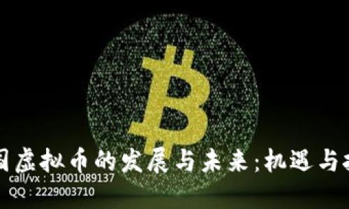 中国虚拟币的发展与未来：机遇与挑战
