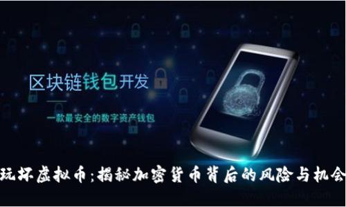 玩坏虚拟币：揭秘加密货币背后的风险与机会