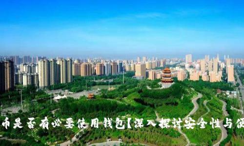 虚拟币是否有必要使用钱包？深入探讨安全性与便捷性