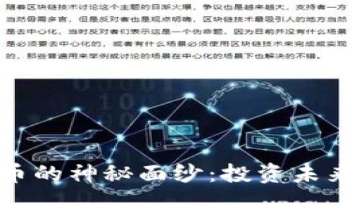 揭开Xiro虚拟币的神秘面纱：投资未来的机遇与风险