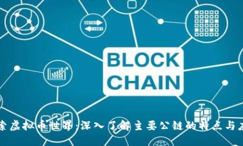 探索虚拟币世界：深入了解主要公链的特点与应用