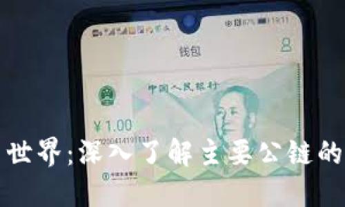 探索虚拟币世界：深入了解主要公链的特点与应用