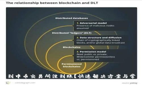 从TP钱包转到中币交易所没到账？快速解决方案与常见问题解析