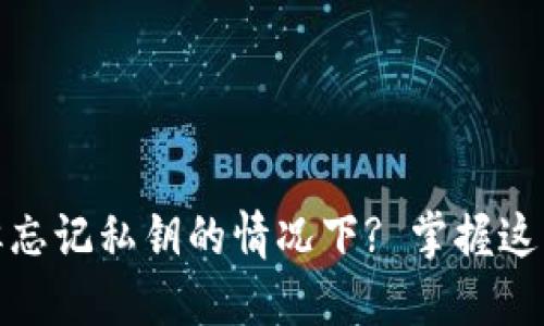 : 如何找回TP钱包密码但忘记私钥的情况下? 掌握这些技巧保障你的资产安全