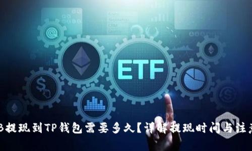 从BNB提现到TP钱包需要多久？详解提现时间与注意事项