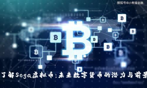 了解Soga虚拟币：未来数字货币的潜力与前景