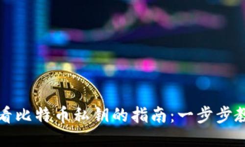 TP钱包中查看比特币私钥的指南：一步步教你轻松获取