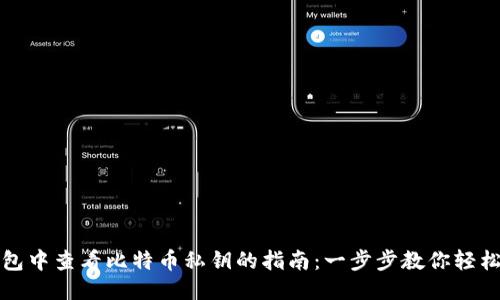 TP钱包中查看比特币私钥的指南：一步步教你轻松获取