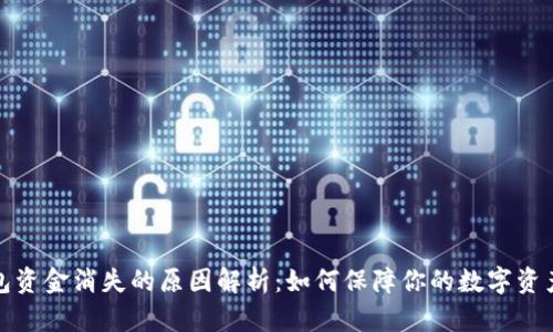 TP钱包资金消失的原因解析：如何保障你的数字资产安全
