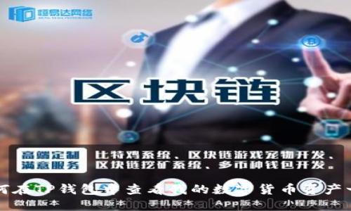 如何在TP钱包中查看我的数字货币资产一览
