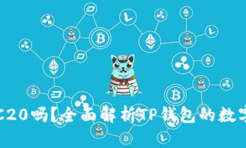 TP钱包支持TRC20吗？全面解析TP钱包的数字资产管理能力