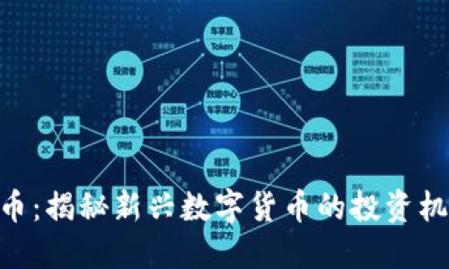 FNK虚拟币：揭秘新兴数字货币的投资机会与挑战