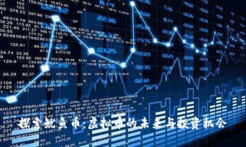 探索鱿鱼币：虚拟币的未来与投资机会