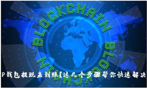 TP钱包提现未到账？这几个步骤帮你快速解决！