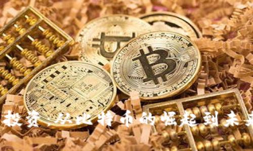 2008年虚拟币投资：从比特币的崛起到未来的机遇与挑战