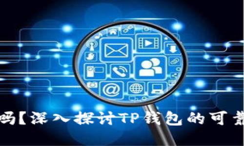 TP钱包安全吗？深入探讨TP钱包的可靠性与安全性