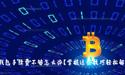 TP钱包手续费不够怎么办？掌握这些技巧轻松解决！