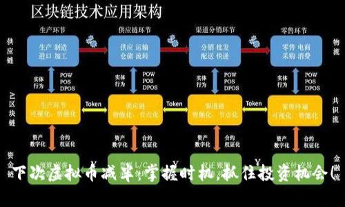 下次虚拟币减半：掌握时机，抓住投资机会！