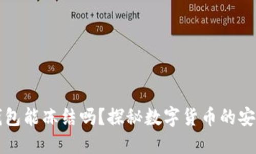 虚拟币钱包能冻结吗？探秘数字货币的安全与管理