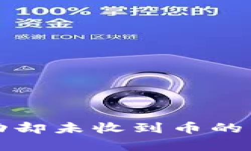 TP钱包交易显示成功却未收到币的原因解析与解决方法