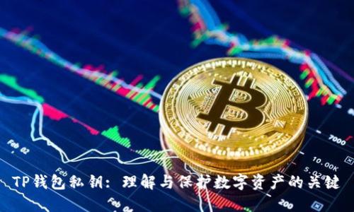 TP钱包私钥: 理解与保护数字资产的关键
