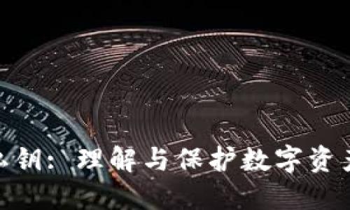 TP钱包私钥: 理解与保护数字资产的关键