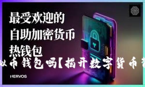 警察可以查虚拟币钱包吗？揭开数字货币背后的法律之谜