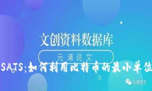 探秘虚拟币SATS：如何利用比特币的最小单位来投资未来