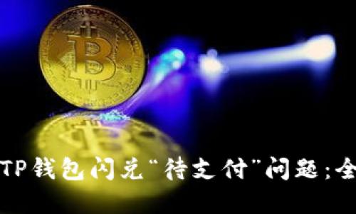 如何解决TP钱包闪兑“待支付”问题：全方位指南