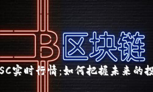 虚拟币SC实时行情：如何把握未来的投资机会